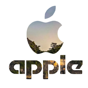 Apple Inc.